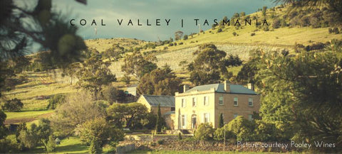 Pinot Noir - Tasmania Coal Valley