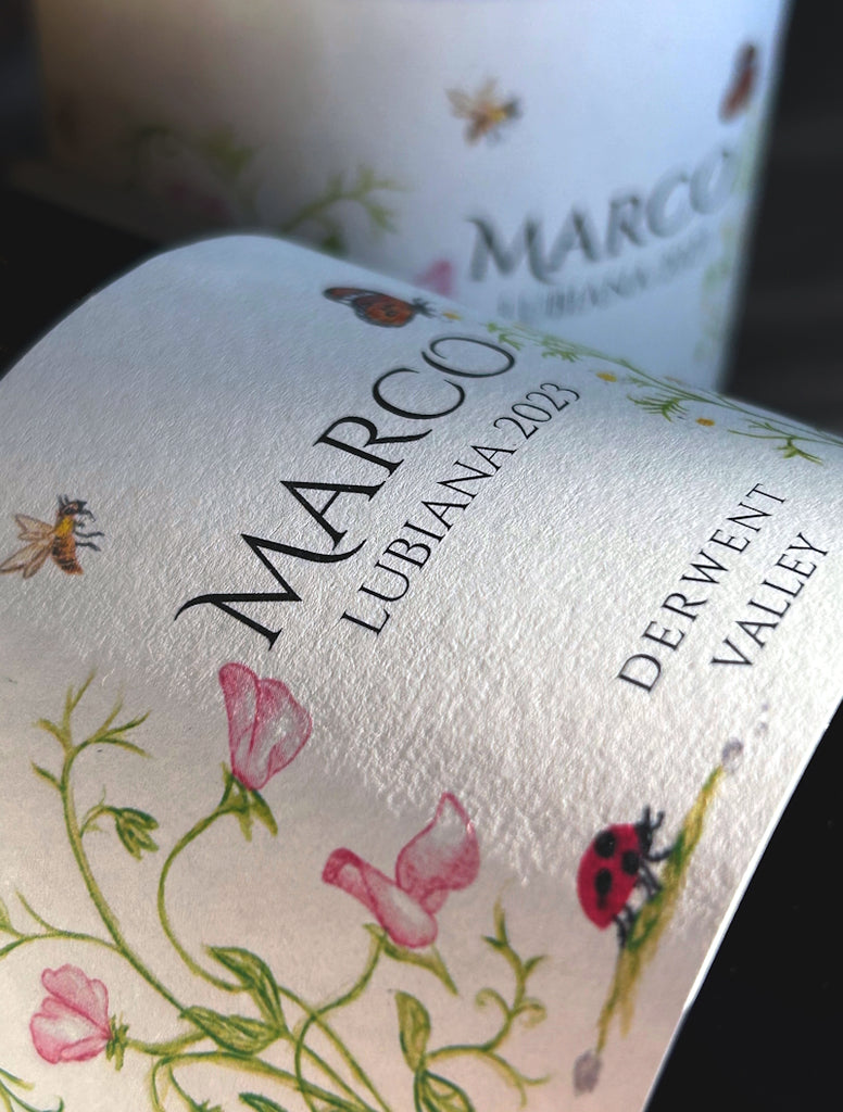Marco Lubiana 2023 Wines