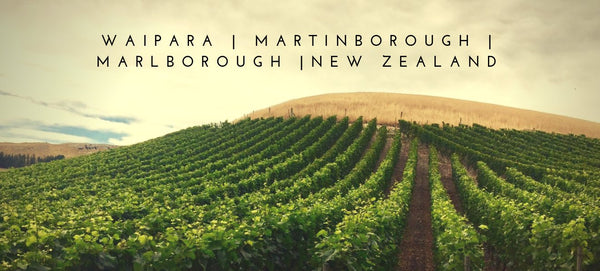 Pinot Noir - NZ Mart/Marl/Cantb