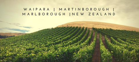 Pinot Noir - NZ Mart/Marl/Cantb