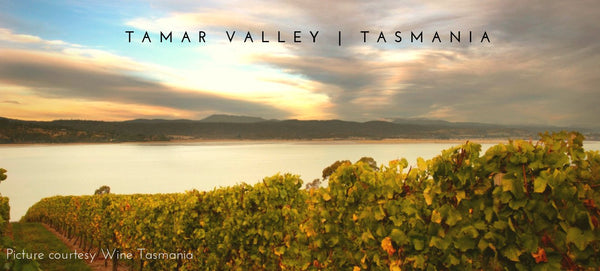 Pinot Noir - TAS Tamar / NE