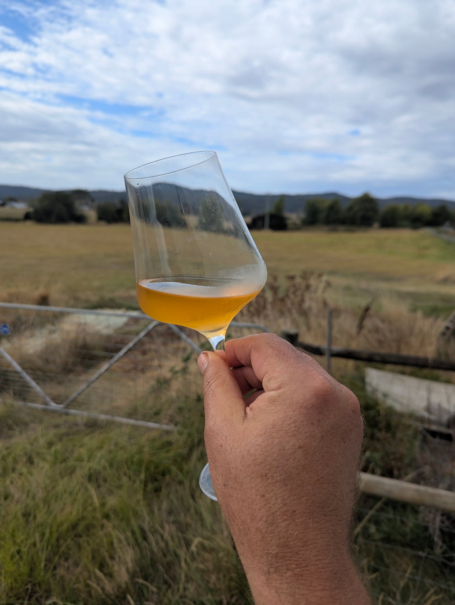 a glass of orange wine being held up in front of farm land