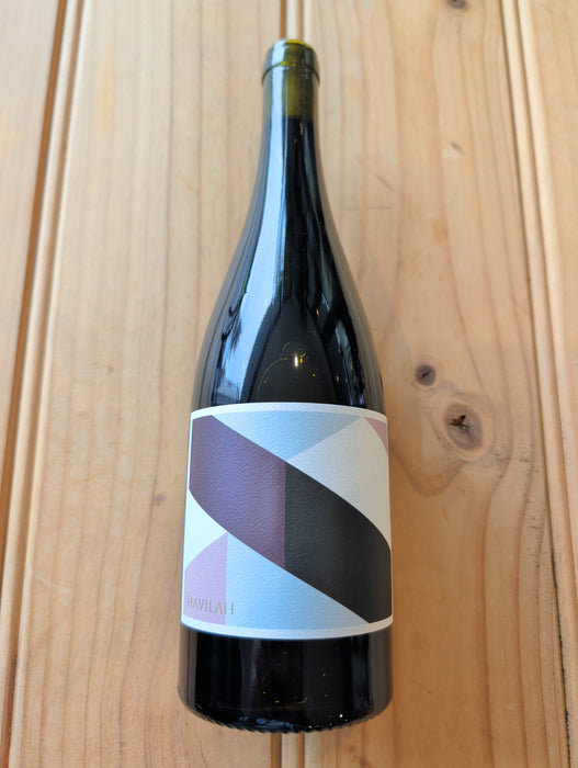 Havilah Shiraz 2024