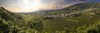 Prosecco - Bortolomiol Valdobbiadene Prosecco