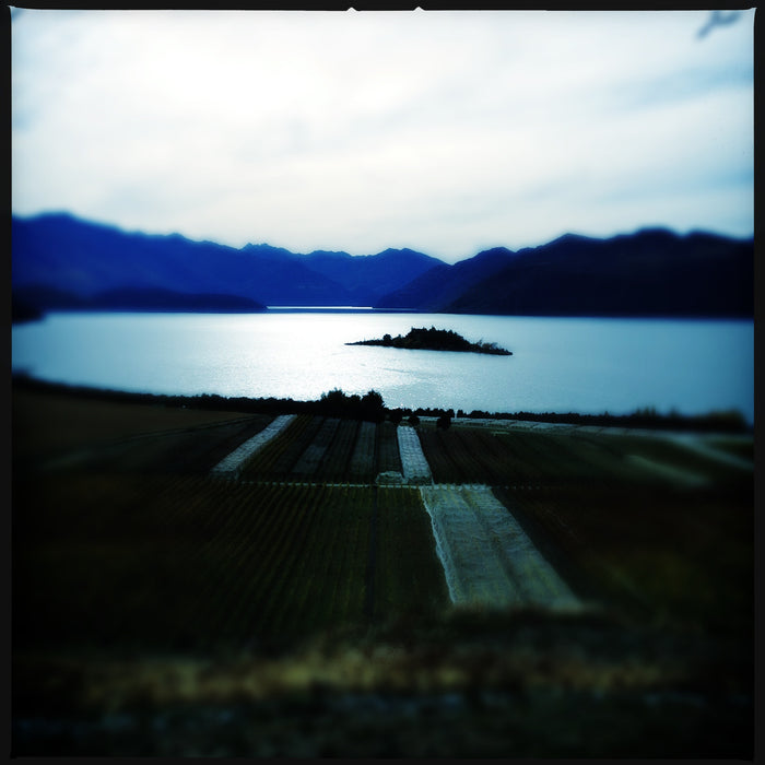 Rippon 2023 Mature Vine Riesling
