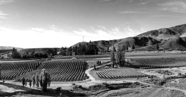 Two Paddocks Tasting with Sam Neill Saturday May 18