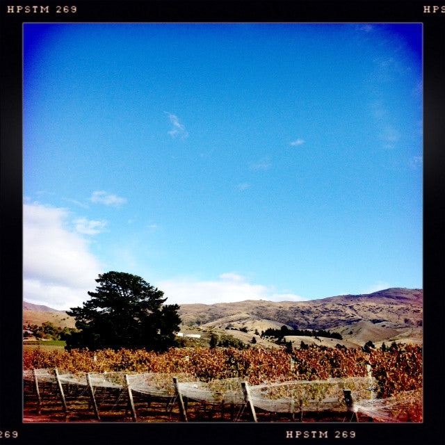Central Otago Pinot Noir Tasting Sydney August 22